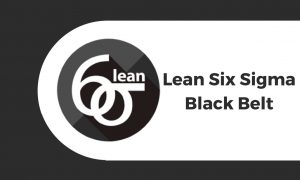 Lean-Six-Sigma-Black-Belt-Purdue-University
