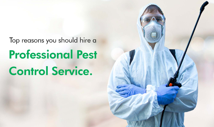 pest removal near me
