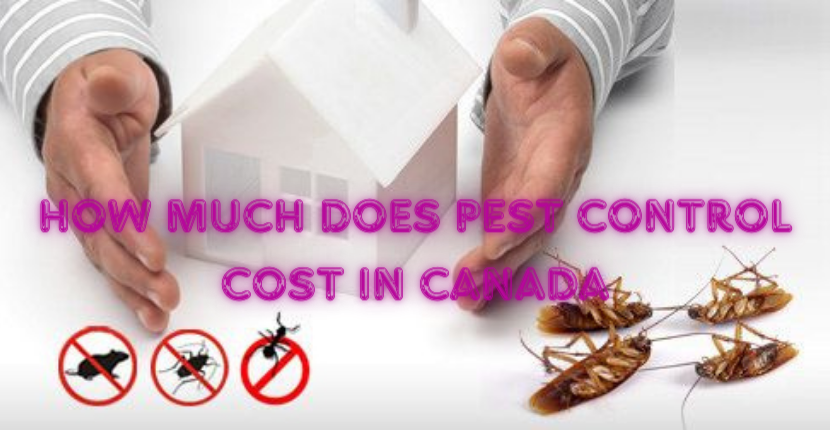 How Much Does Pest Control Cost in Canada