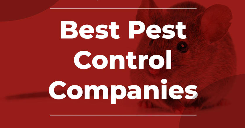 pest control Calgary